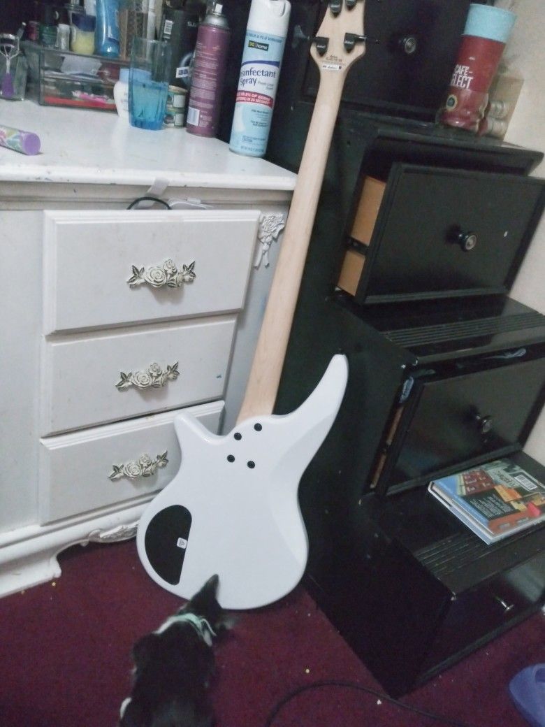 Bass Guitar( Trades Only)