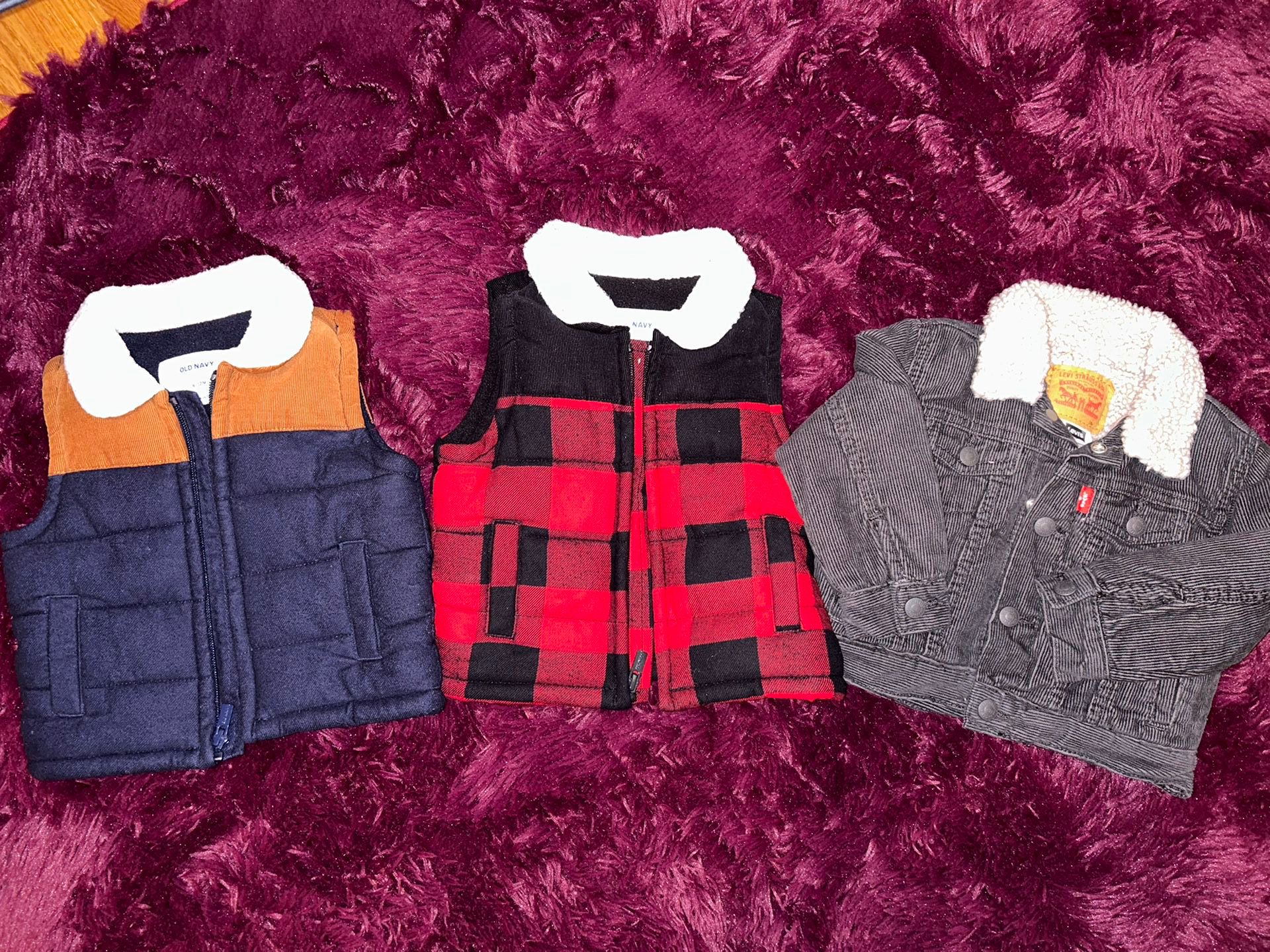 Vest