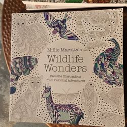 Adult New Coloring Books, Each