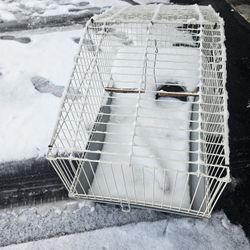 Birth Cage
