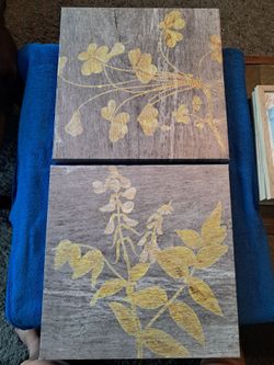 Canvas Pictures