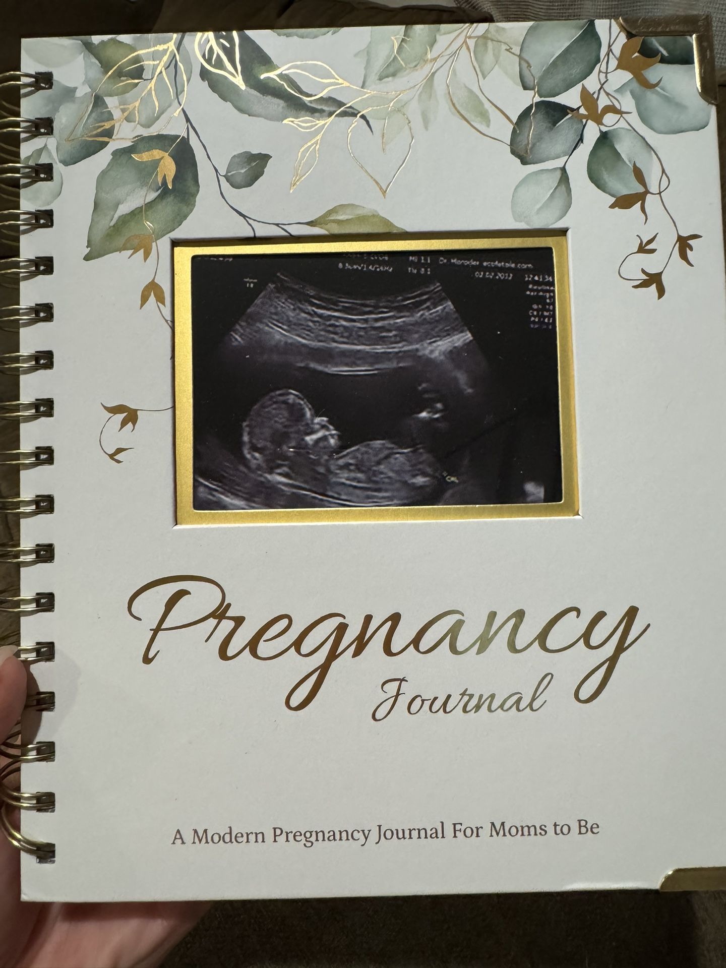 Pregnancy Journal 