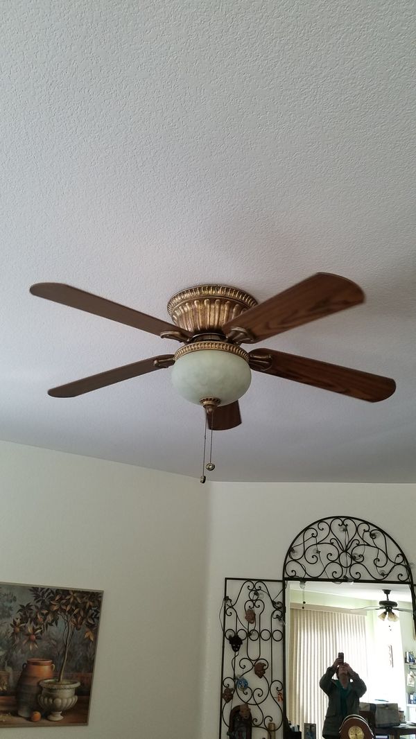They Want To Get My Gold On The Ceiling