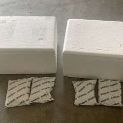 FREE - Small Foam Coolers & Ice Packs 