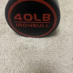  40lbs Straight And 50lbs EZ-curl Barbell