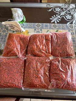 Chile chiltepin