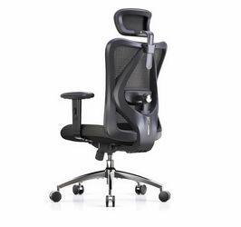 M18 Ergonomic Office Chair, Mesh Back Desk Chair with Headrest Adjustable Lumbar Support, Hold 330lbs Computer Chair with 2D Armrests & Wide Cushion, 