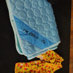 Items Dog Little Dog 