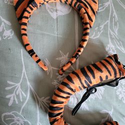 Tiger Costume Dress up