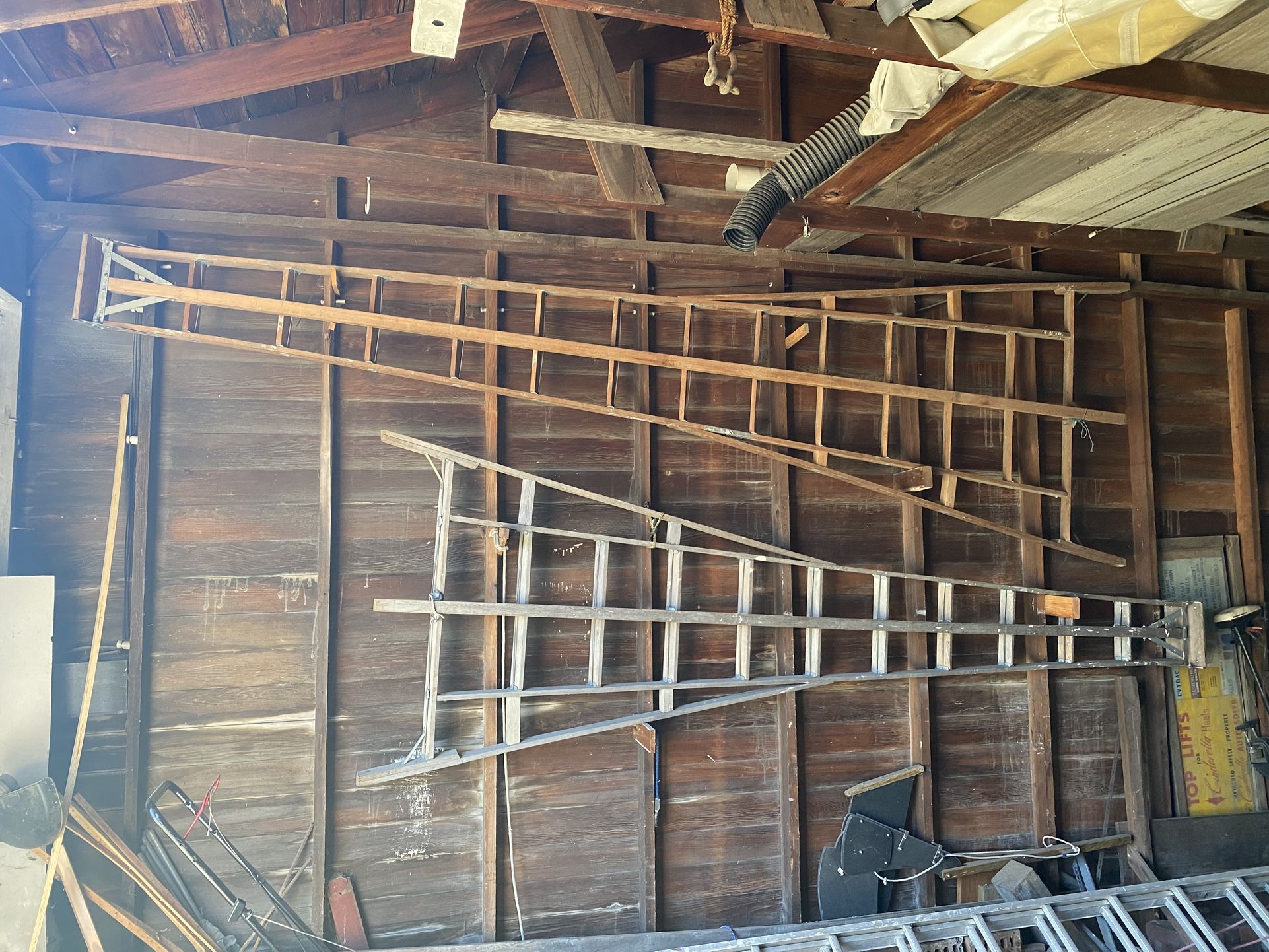 15ft Fruit Ladders