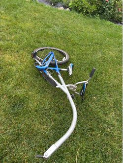 Trek Mountain train bike