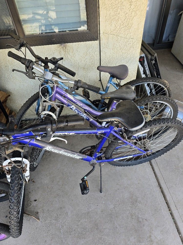 7 Bikes For $100