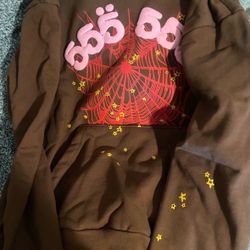 Spyder Hoodie Brown