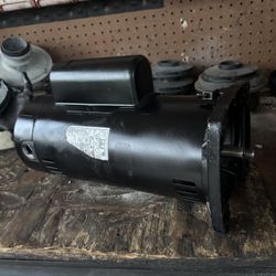 Pool Motor