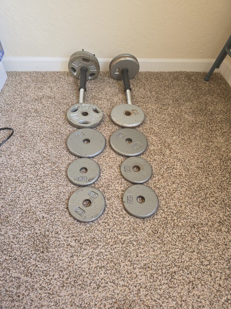Dumbbells 2 x 30 lbs adjustable