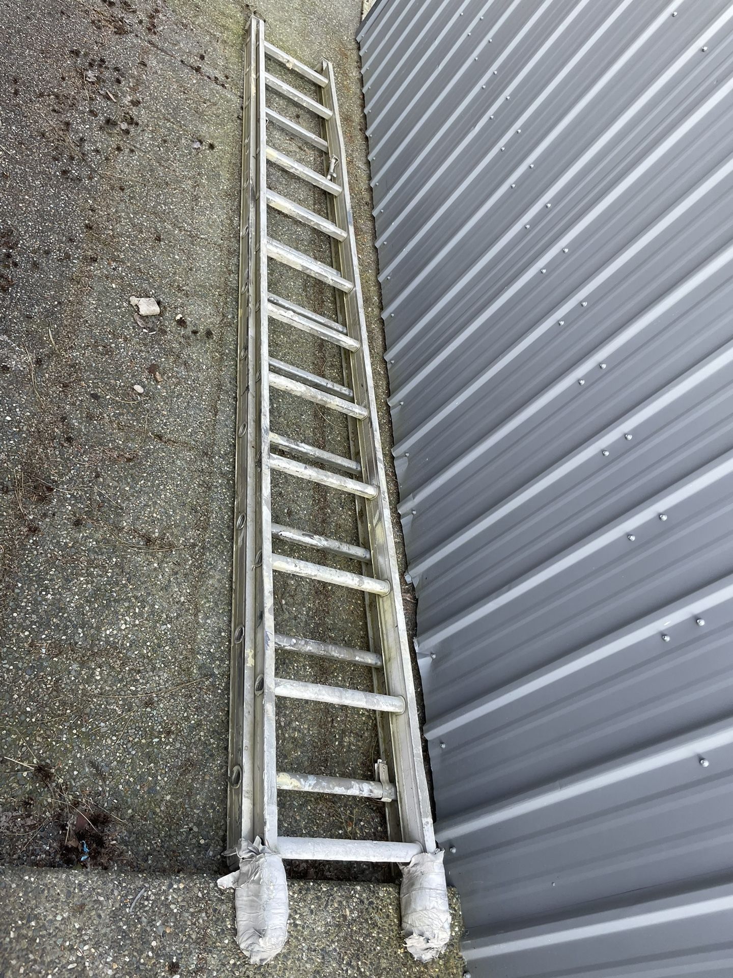 24ft ladder