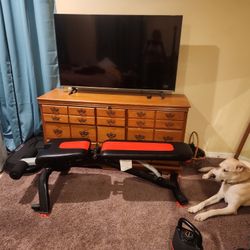 Bowflex Weight Bench