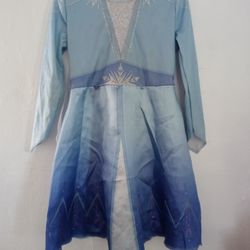 Halloween Costume Frozen