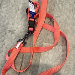 Dog Leash And Collar From PetSmart