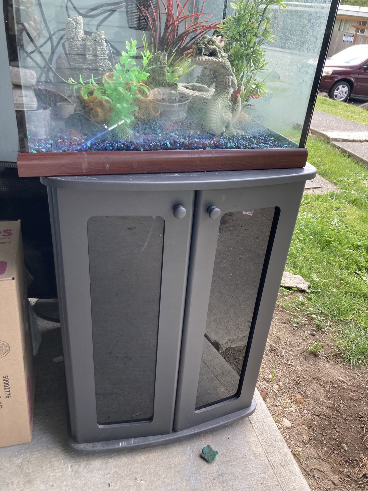 40 gallon fish tank, accessories and Stand 