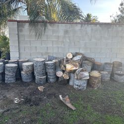 Palm Tree Stumps