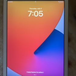 iPad (5th Generation)