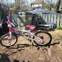 20inch Freestyle Bike 