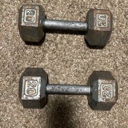 Set Of 20lb Dumbbell Weights