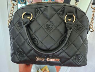 brand new never used Juicy Couture crossbody $40 pick up and cash only