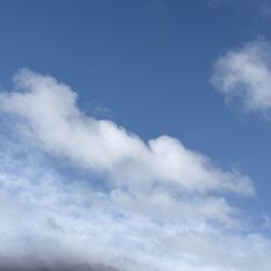 I Am Looking For A SUV Or A Gas Mileage Reliable Truck 4 Door. 