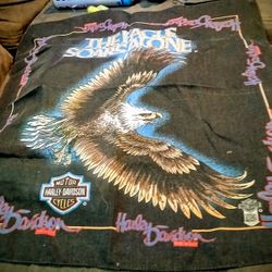 Vintage Authentic Harley Davidson Bandana