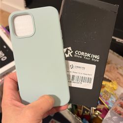 iPhone 13 Phone Case 