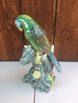 Parrot