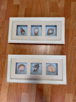 Seashell Shadow Box Wall Art Set of 2