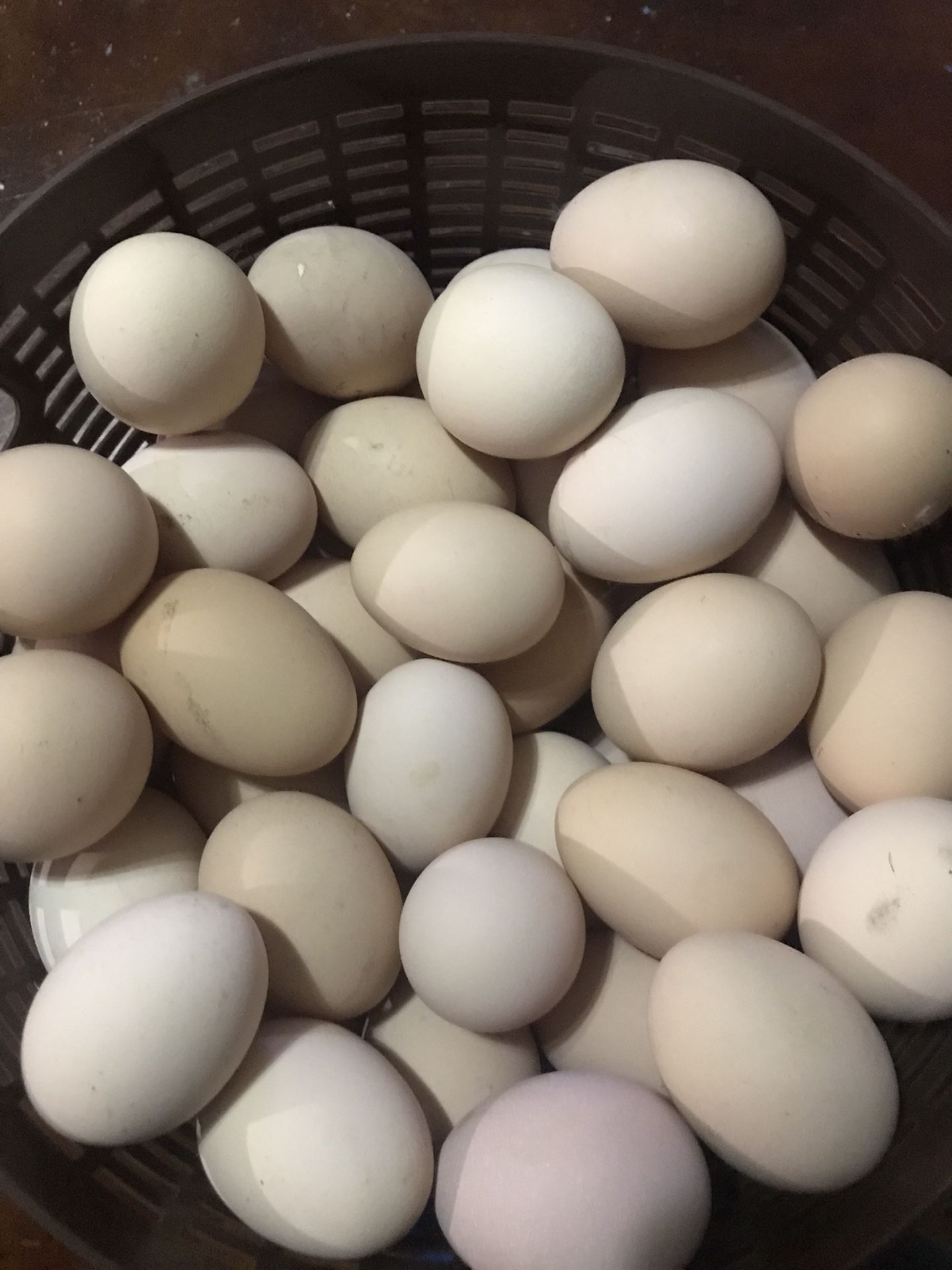 Eggs