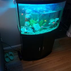 36 Gallon Fish Tank And Stand
