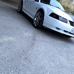 2000 Ford Mustang