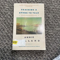 Teaching A Stone To Talk