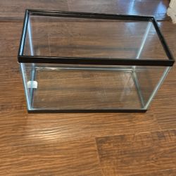 10 Gallon Terrarium With Supplies 