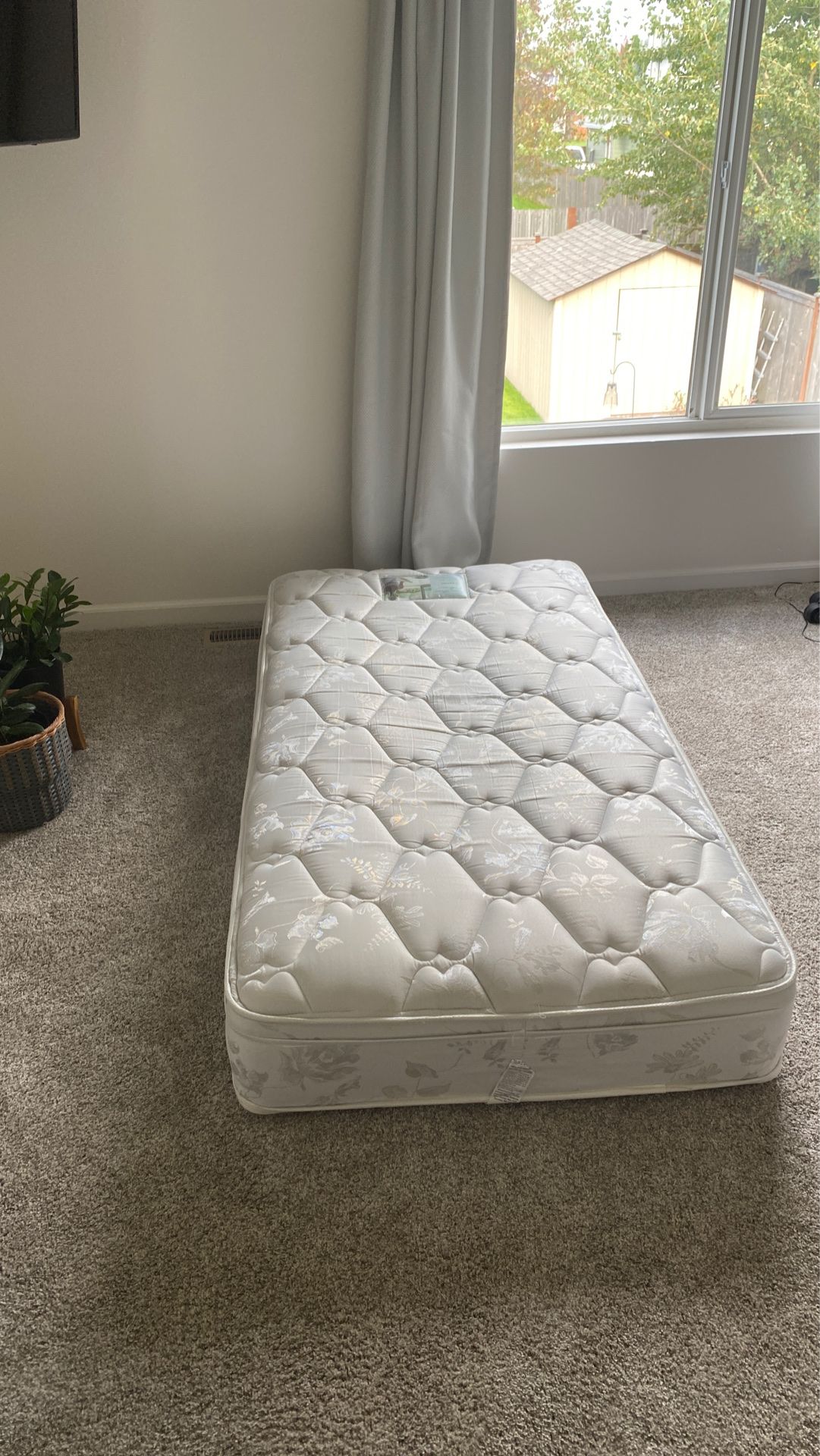 Free twin mattress