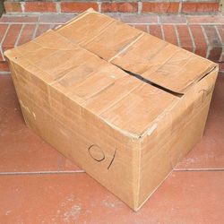 LARGE cardboard shipping box with packing materials foam peanuts