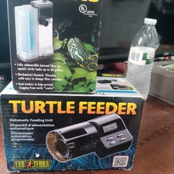 Turtle Feeders 