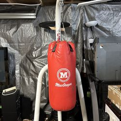 Punching Bag with stand