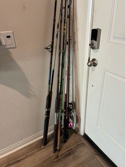 Fishing rods and reel
