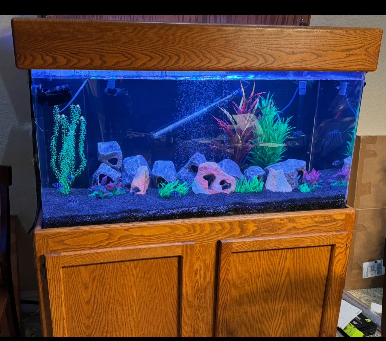 100 Gallon Acrylic Aquarium