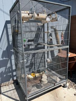 Bird Cage