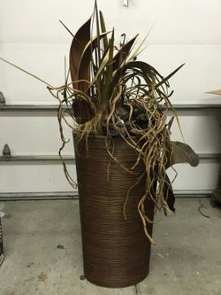 Bamboo. Arrangement