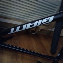 Giant Bike