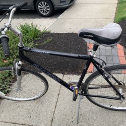 Men’s Bicycle Raleigh 