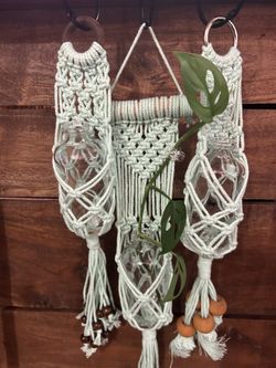 Mini Macrame With Glass Bottle, Free Plant Cutting, Many Choices To Choose From
